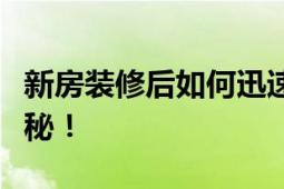 新房装修后如何迅速有效去除甲醛？秘籍大揭秘！