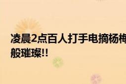 凌晨2点百人打手电摘杨梅现场壮观 电筒光芒跳跃如同星河般璀璨!!