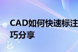 CAD如何快速标注尺寸？提高绘图效率的技巧分享