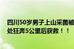 四川50岁男子上山采菌被熊咬掉一半鼻子 全身的裂伤共10处狂奔5公里后获救！！