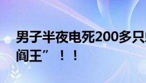 男子半夜电死200多只蚊子 网友：蚊子“活阎王”！！