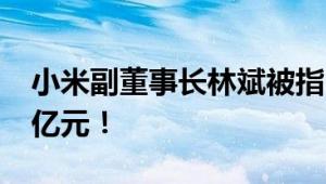 小米副董事长林斌被指“违背承诺”套现1.6亿元！