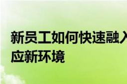 新员工如何快速融入团队？掌握这几点轻松适应新环境