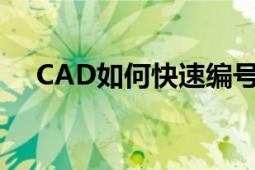 CAD如何快速编号 提升效率的专业技巧