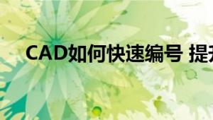 CAD如何快速编号 提升效率的专业技巧