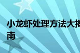 小龙虾处理方法大揭秘：清洗、烹饪一站式指南