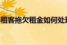 租客拖欠租金如何处理？解决方案与应对之策