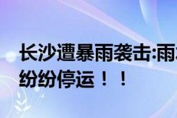 长沙遭暴雨袭击:雨水灌入地下商场 地铁高铁纷纷停运！！