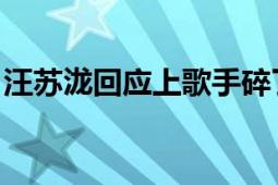 汪苏泷回应上歌手碎了 不信就来看我演唱会！