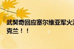 武契奇回应塞尔维亚军火流向乌军 承认8亿欧元军火流向乌克兰！！