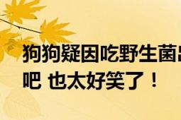 狗狗疑因吃野生菌出现迷惑行为 这是中毒了吧 也太好笑了！