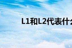 L1和L2代表什么意思 解析与解析