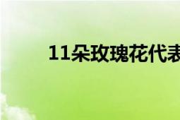 11朵玫瑰花代表的含义及深层解读