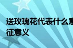 送玫瑰花代表什么意思？深度解读玫瑰花的象征意义