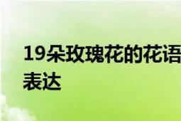 19朵玫瑰花的花语寓意：深情与期待的情感表达