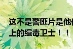 这不是警匪片是他们的真实经历 行走在刀尖上的缉毒卫士！！