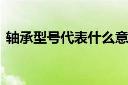 轴承型号代表什么意思 详解轴承规格与参数