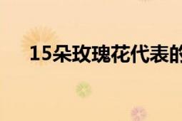 15朵玫瑰花代表的含义及象征意义解析