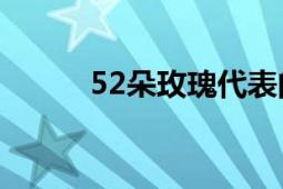 52朵玫瑰代表的含义及深层解读