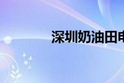 深圳奶油田电音节2024时间