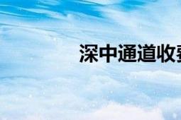 深中通道收费标准最新消息