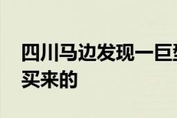 四川马边发现一巨型乌木被暂扣 老板自称是买来的