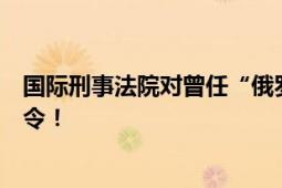 国际刑事法院对曾任“俄罗斯国防部长”的绍伊古发出逮捕令！