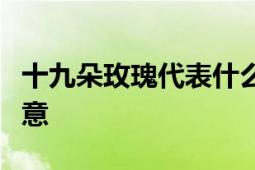 十九朵玫瑰代表什么意思？花语解析与情感寓意