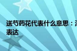 送芍药花代表什么意思：深入了解芍药花赠送的寓意与情感表达