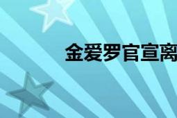 金爱罗官宣离婚 引起网友热议