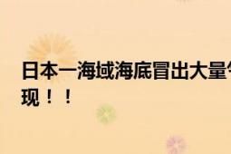 日本一海域海底冒出大量气泡绵延十公里  水下约17米处发现！！