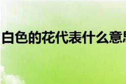 白色的花代表什么意思及相关象征和文化内涵