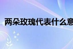 两朵玫瑰代表什么意思？情感与承诺的象征