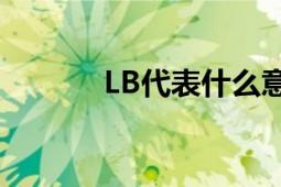 LB代表什么意思？解析与解析