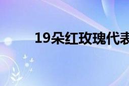 19朵红玫瑰代表的含义及深层解读