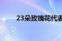 23朵玫瑰花代表的含义与情感表达