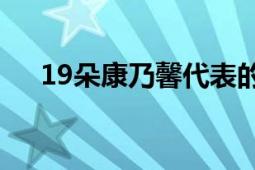 19朵康乃馨代表的含义及文化背景解析