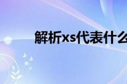 解析xs代表什么意思：定义与用途