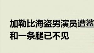 加勒比海盗男演员遭鲨鱼攻击身亡 一只手臂和一条腿已不见