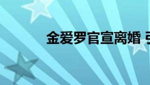 金爱罗官宣离婚 引起网友热议