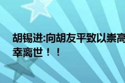 胡锡进:向胡友平致以崇高敬意 勇救日本母子的中国女子不幸离世！！