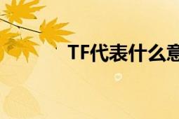 TF代表什么意思及其相关应用