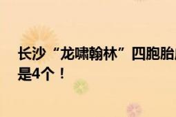 长沙“龙啸翰林”四胞胎成绩出炉 网友：别人家的孩子 还是4个！