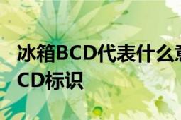 冰箱BCD代表什么意思？解析冰箱型号中的BCD标识