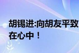 胡锡进:向胡友平致以崇高敬意 她的行为铭刻在心中！