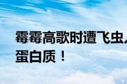 霉霉高歌时遭飞虫入口 网友：一口下去满满蛋白质！