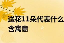 送花11朵代表什么意思？解读鲜花数量的隐含寓意