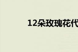 12朵玫瑰花代表的含义是什么?