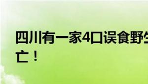 四川有一家4口误食野生鹅膏菌中毒有1人身亡！