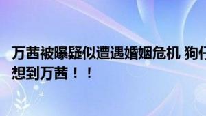 万茜被曝疑似遭遇婚姻危机 狗仔一张“黄玫瑰”图片让人联想到万茜！！